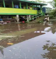 Flooding often leads to proliferation of parasites, and Vuci village is combatting this