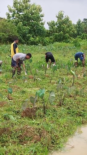 vuci youth agric2