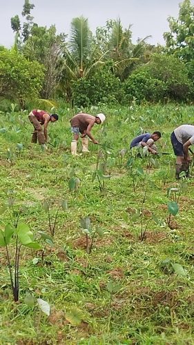 vuci youth agric3